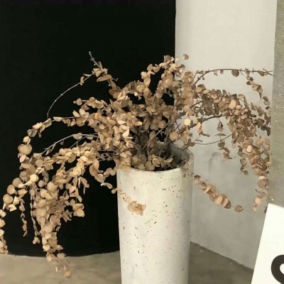 Furry数字绘画入门指南FurryQQ群